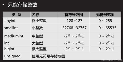 MySQL數據庫服務 從構建到管理的全面指南